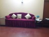 Sofa & chairs cover